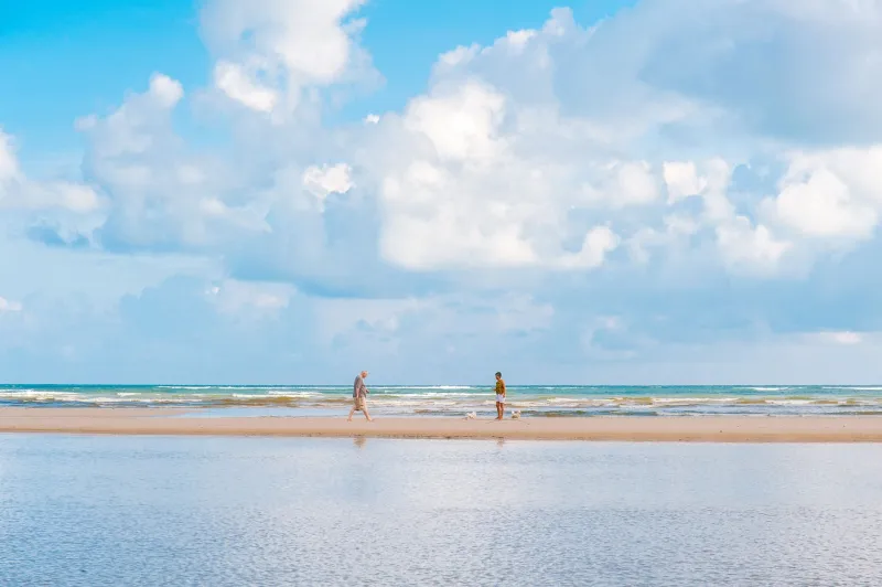 Paws, Passports, and Paradise: The Real Guide to Renting in Phuket With Your Pet